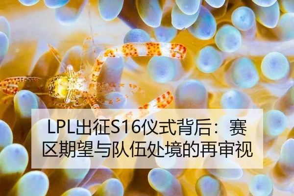 LPL出征S16仪式背后：赛区期望与队伍处境的再审视